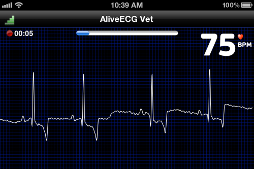 Trazado ECG obtenido por el sistema AliveECGvet
