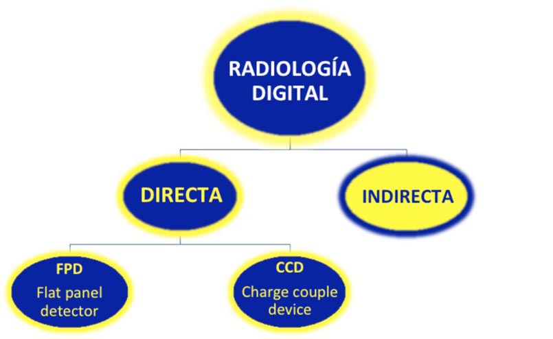 radiologia grafico