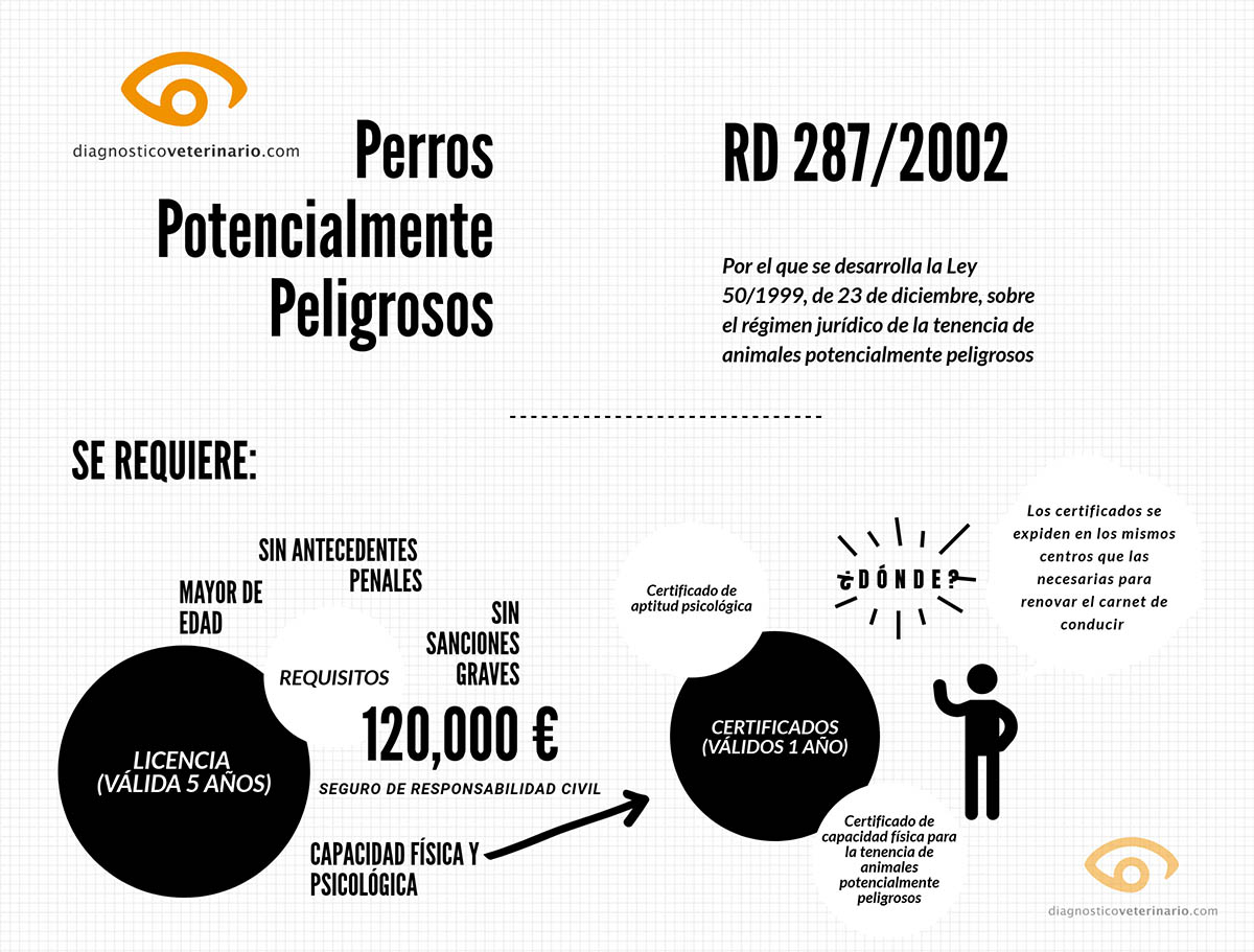 Infografía Licencia Perros Potencialmente Peligrosos o PPP. 